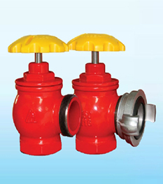 Van góc chữa cháy DN65