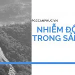 Bệnh nhiễm độc nghề nghiệp do chì và các hợp chất của chì