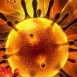 Ở đâu bán khẩu trang phòng bệnh dịch Corona? (PCCC An Phúc 0903801891)
