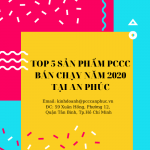 TOP 5 SẢN PHẨM PCCC BÁN CHẠY NĂM 2020 CỦA AN PHÚC